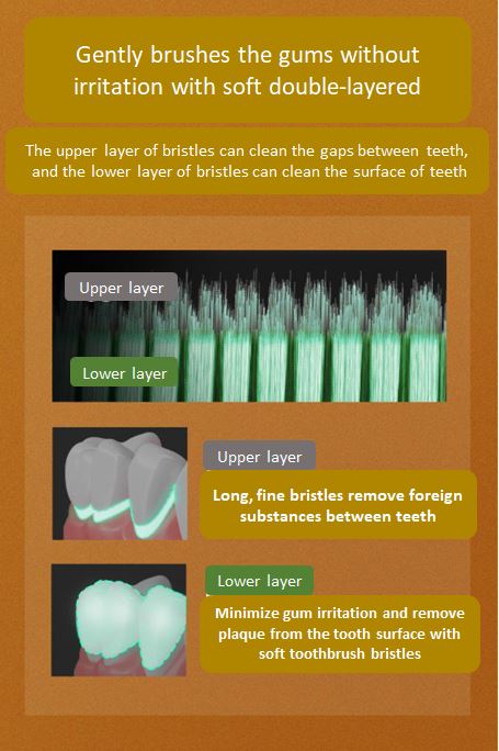 Wangta Gold Toothbrush