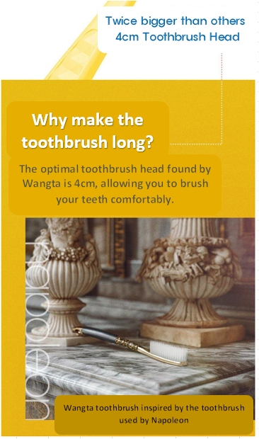 Wangta White Toothbrush