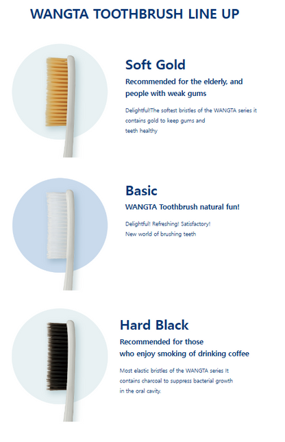 Wangta Black(Chacoal) Toothbrush