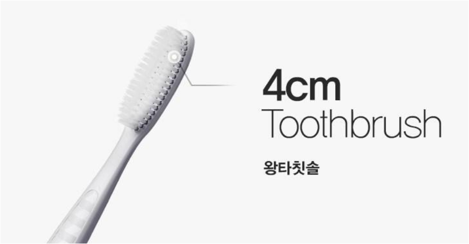 Wangta Black(Chacoal) Toothbrush